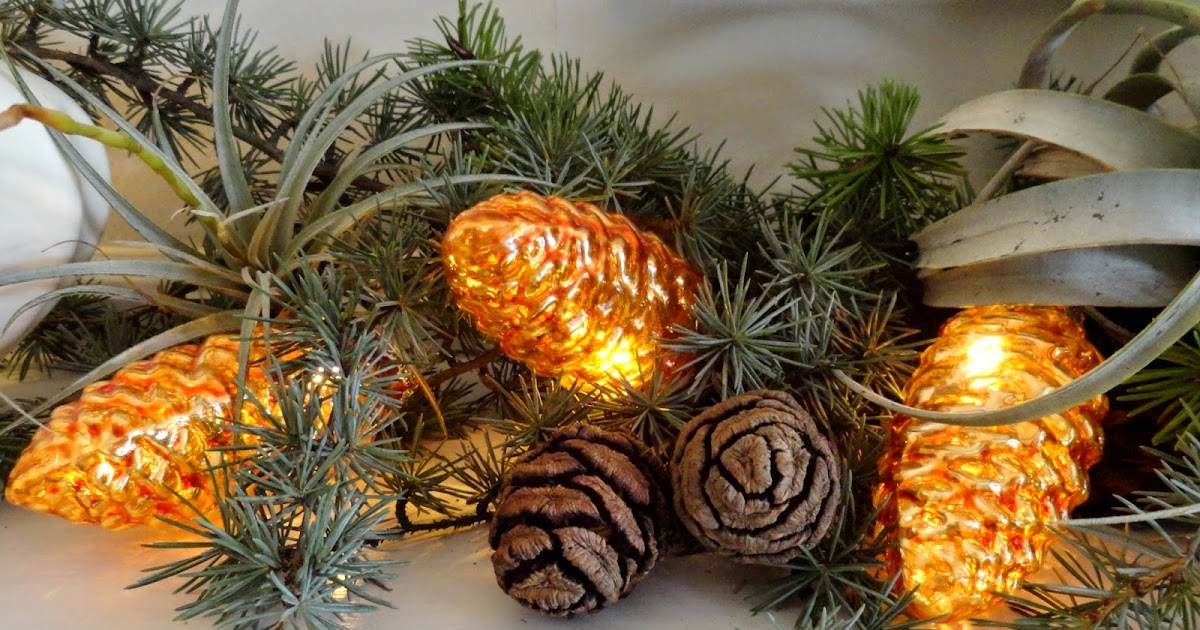 Pine cone christmas lights best sale